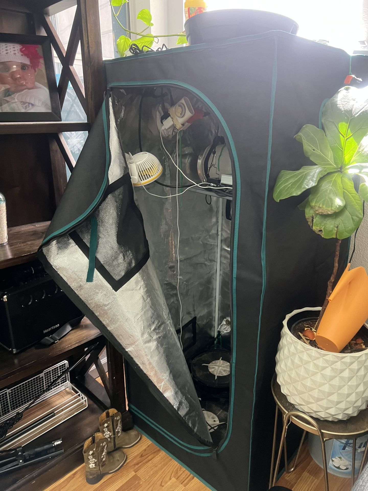 Grow Tent With Light And Air Filtration System.