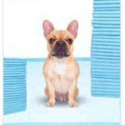 Brand-new XL Puppy Training Pads