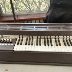 Magnus Organ Great For Beginners