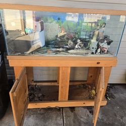 Pet Tank / Aquarium