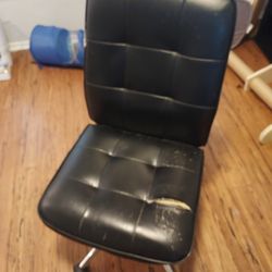 Comfortable Cat Scratched Worn Chair