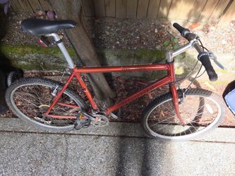 Specialized Rockhopper Mountain Bike