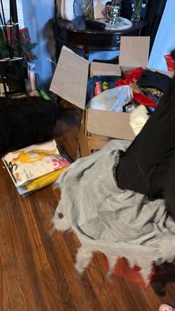 Halloween Stuff