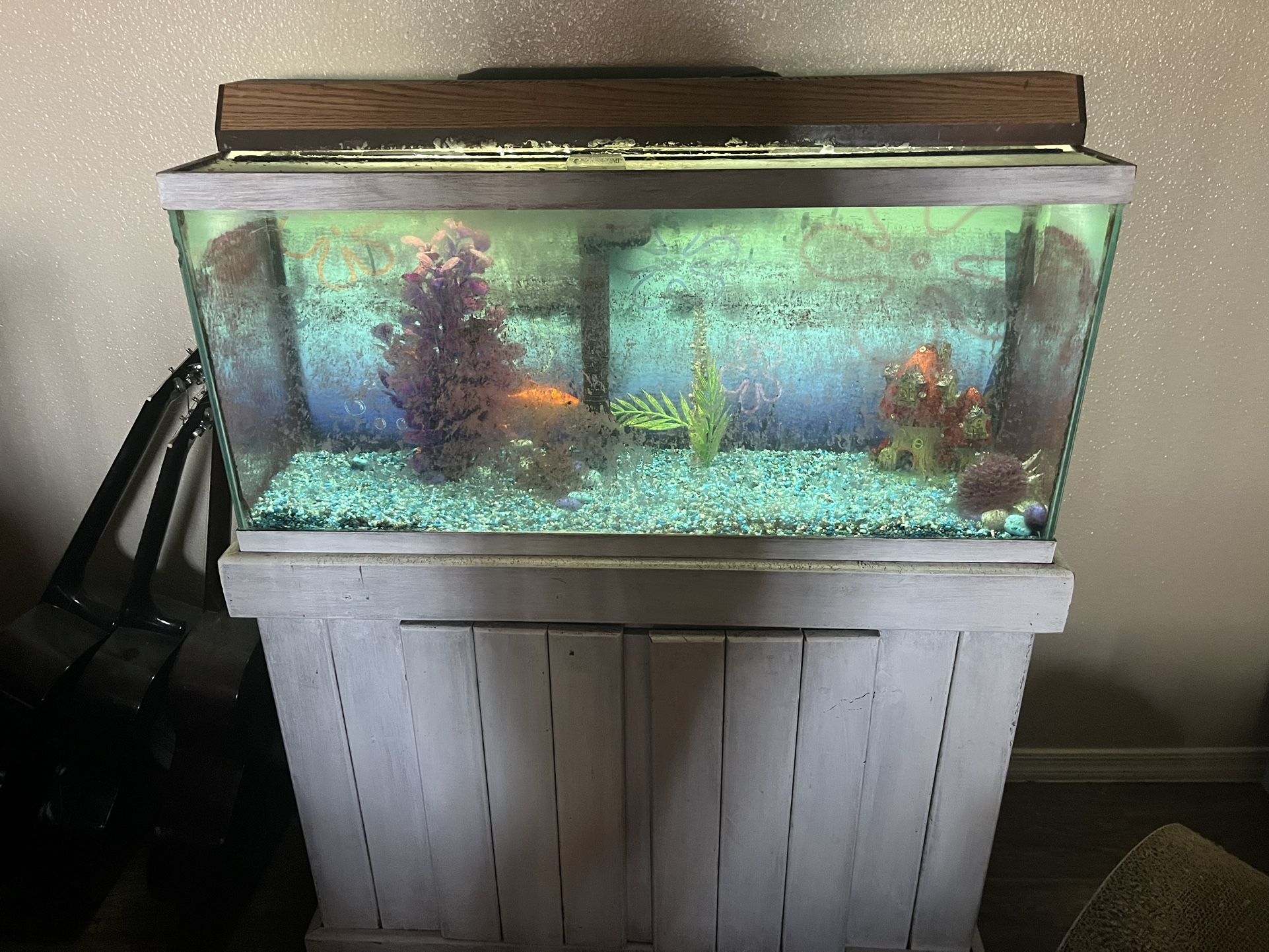Fish tank and supplies