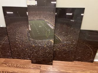 Brand new unopened Lambeau field greenbay packers canvas wall art
