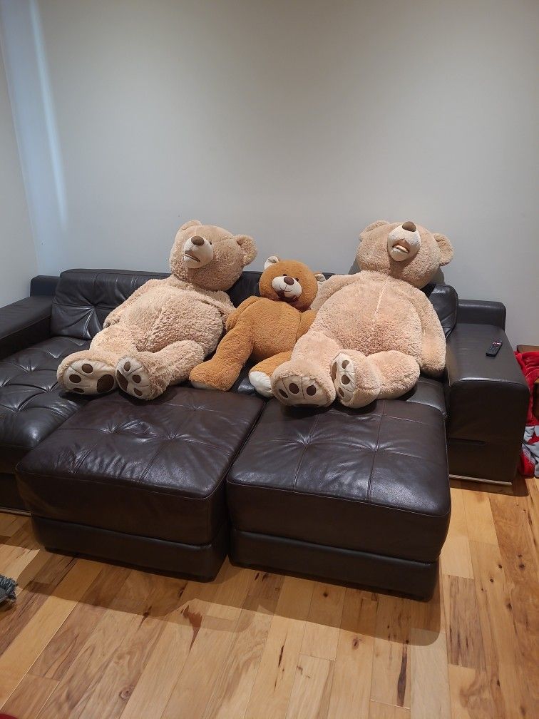 Huge Teddy Bears