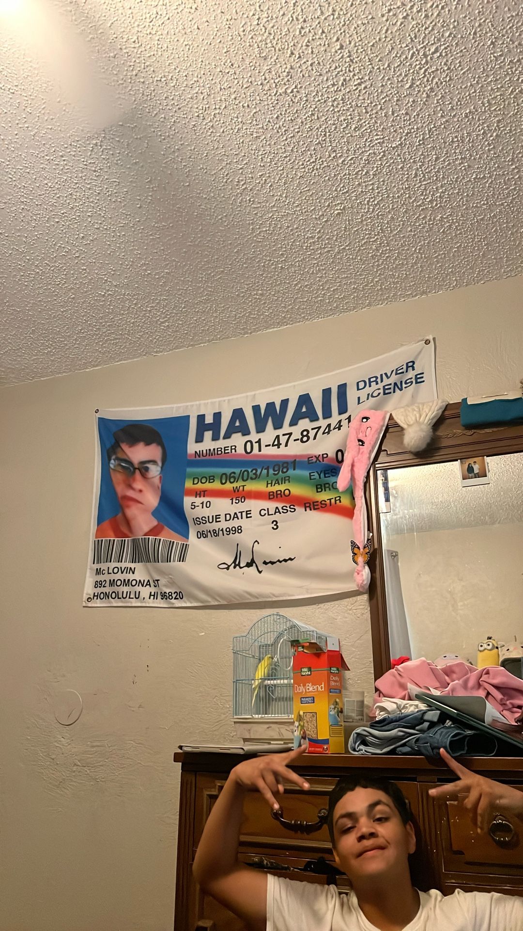 Mclovin poster