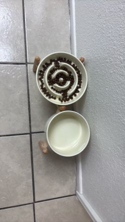 Dog water and food bowl