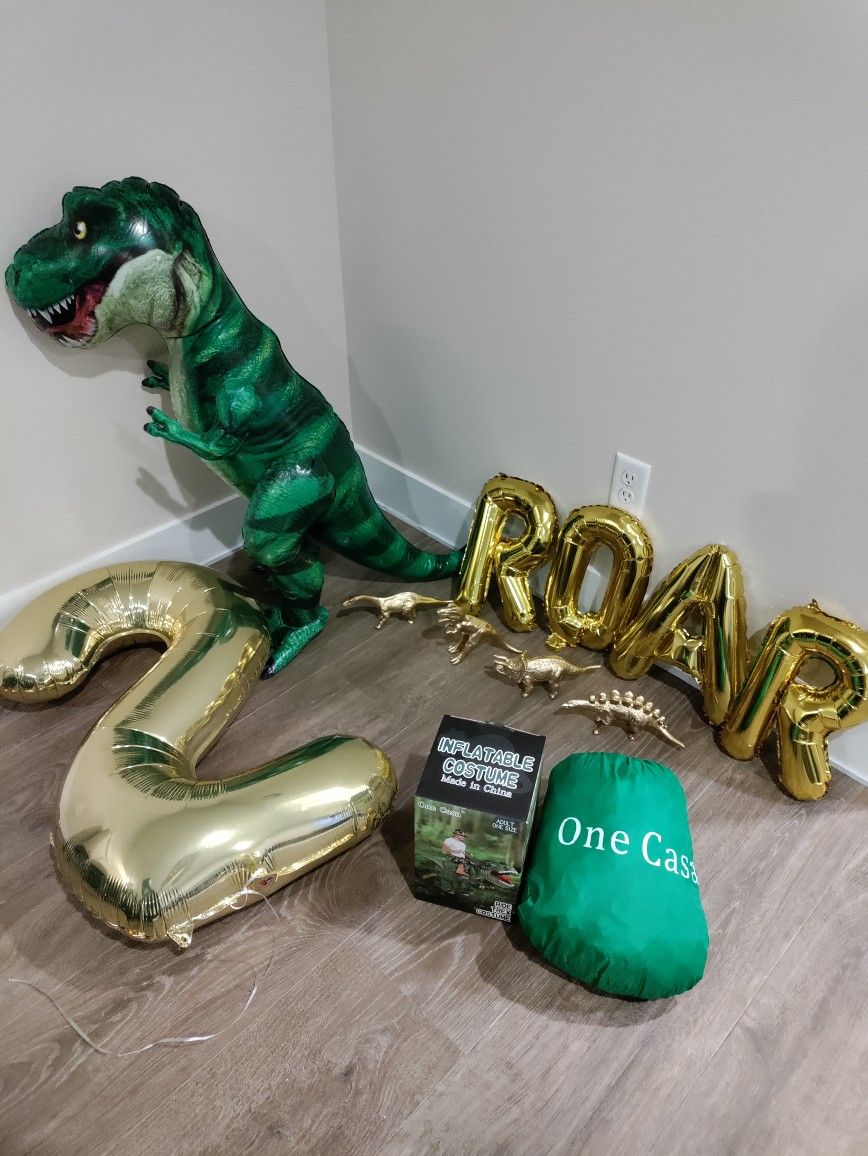 Dinosaur Birthday Party Decorations and Costume