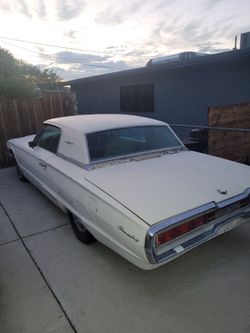 Ford Thunderbird Classic Car White
