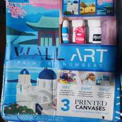 Wall Art Painting supplies 