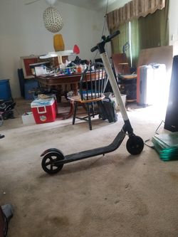 Electric Stand Up Scooter