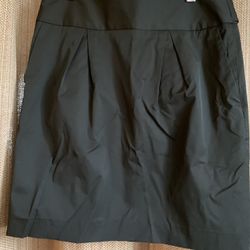 Banana Republic Skirt 