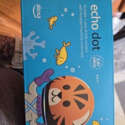 Kids Tiger Echo Dot Brand New