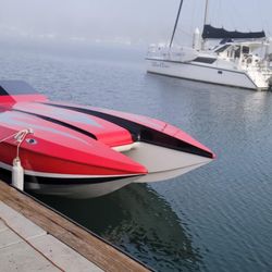 1998 Awesome Cat 26