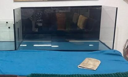 Red reefer 73 gallon rimless reef tank with sump