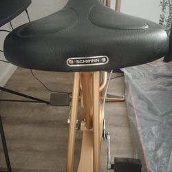 VINTAGE SHWINN AIR DYNE