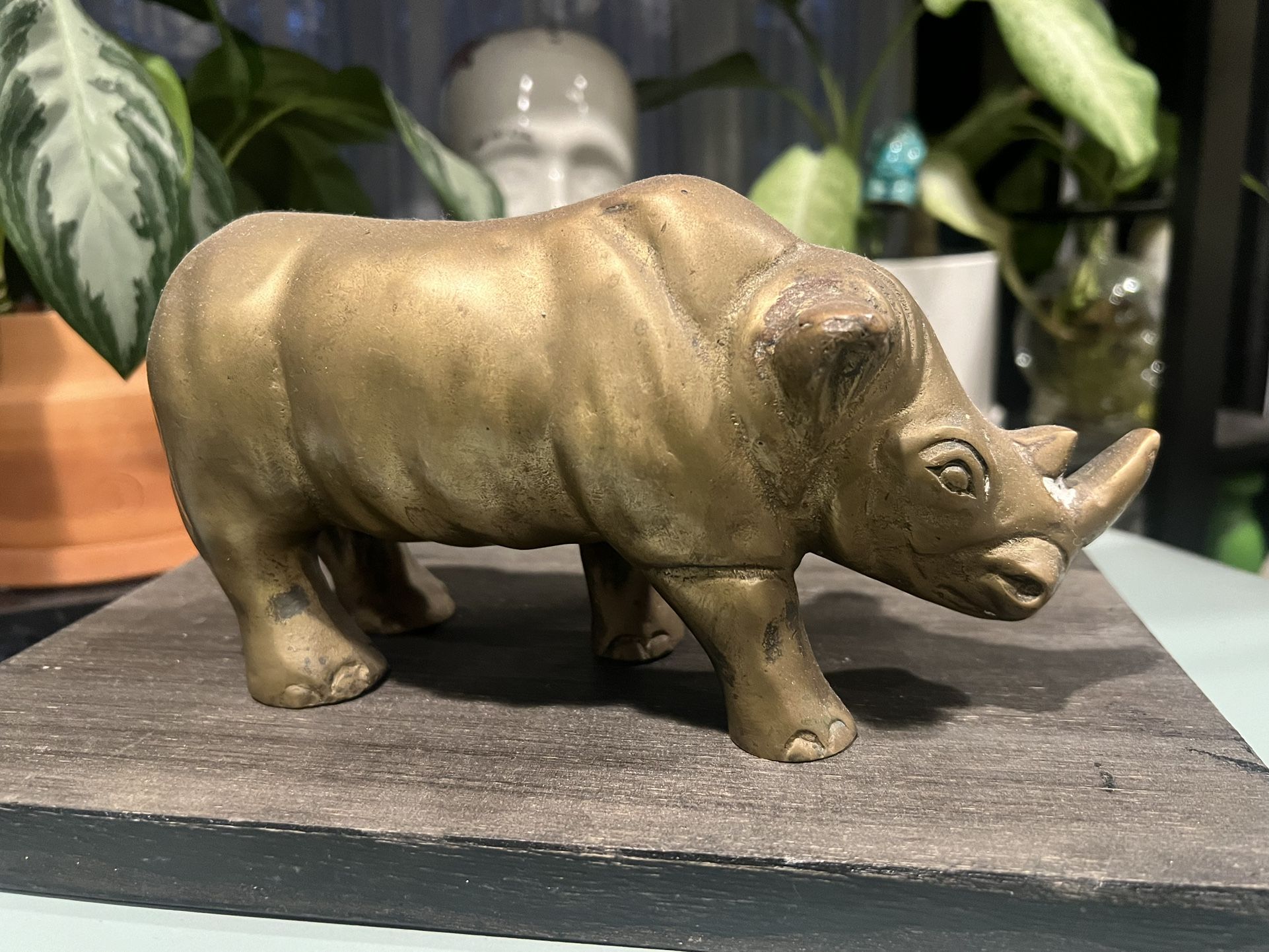 MCM heavy Brass Rhino