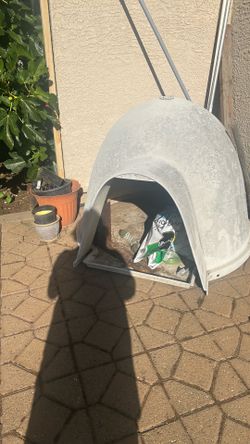 Igloo dog house.
