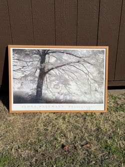Picture In Wood Frame 