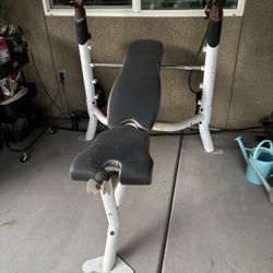Weight Bench