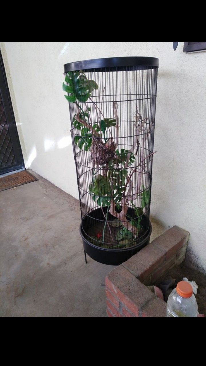 Bird cage