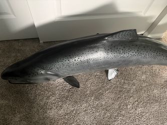Handmade Chinook Salmon Wall Art