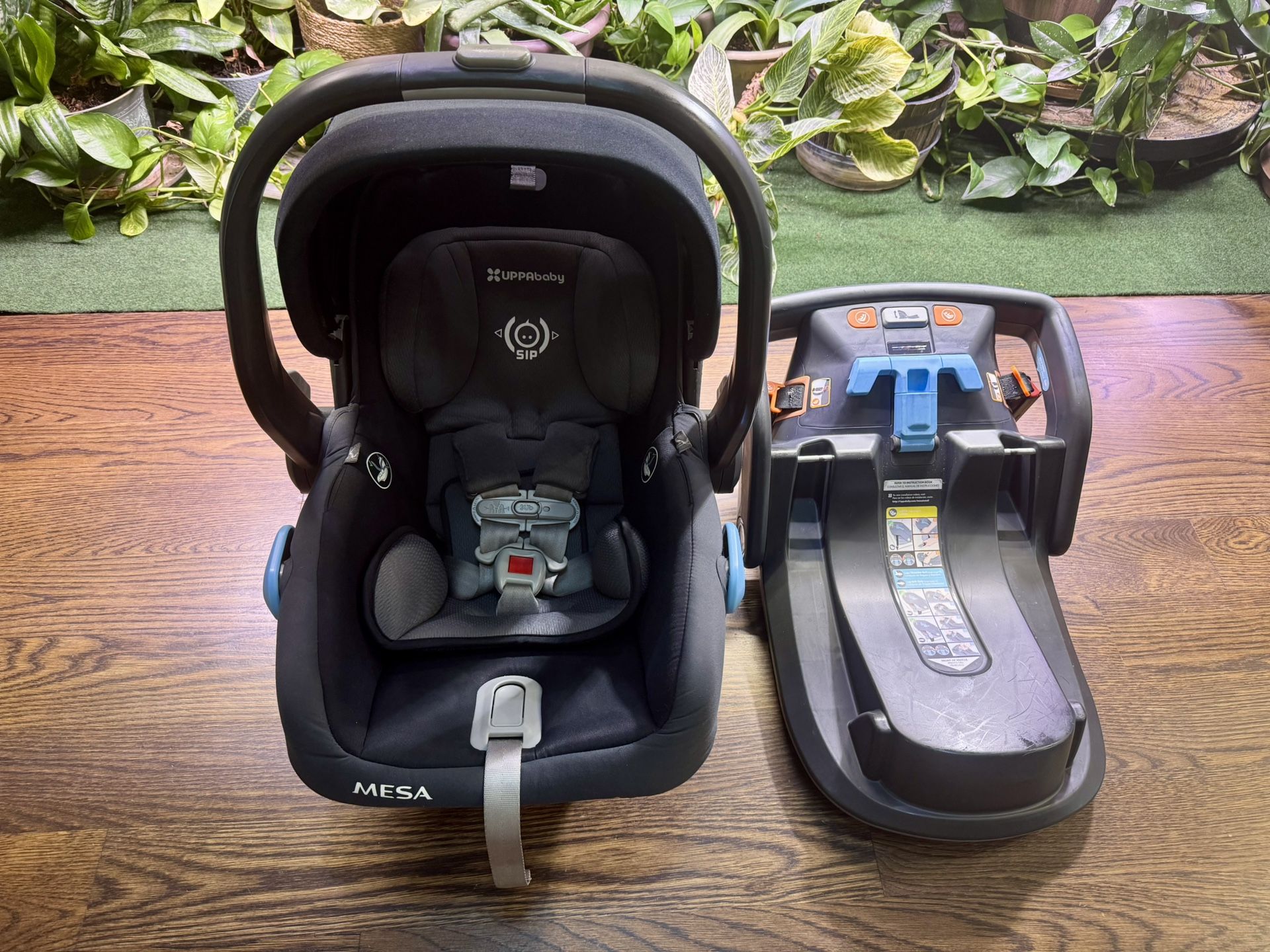 Uppababy Mesa Infant Carseat