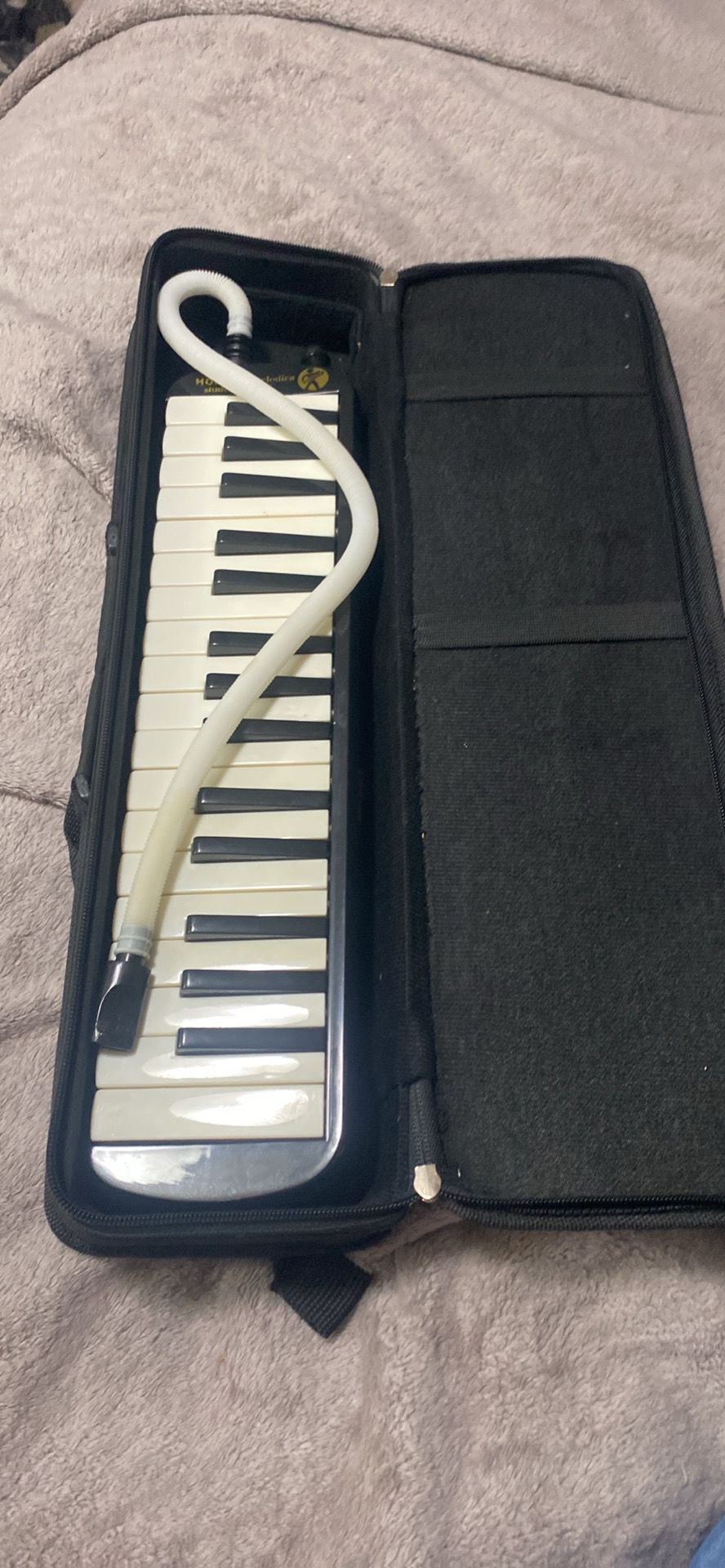 Hohner Student 32/piano De Aire