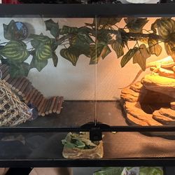 BD Reptile Tank 