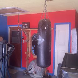 Punching Bag