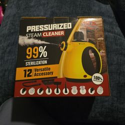 Handheld Pressurized Steam Cleaner with 12 pcs Accessories, 