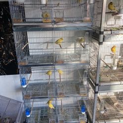 4stack Canaries Breeder Cages 