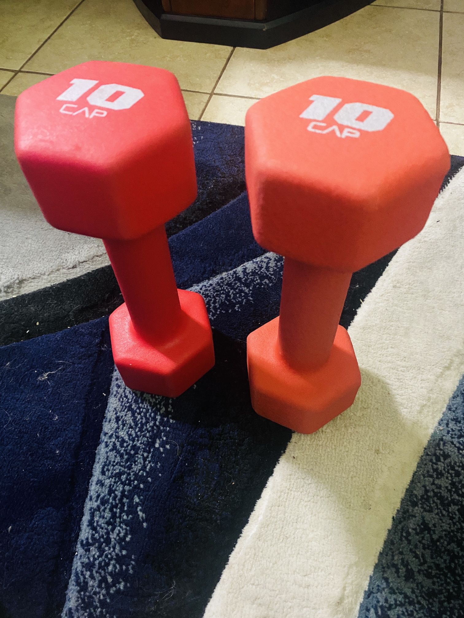 2 Dumbbells-10 pounds Each