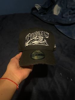 bisons fitted