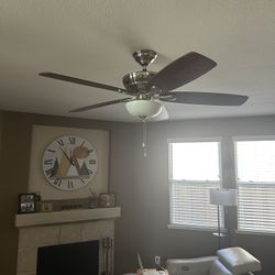 52 Inch Hunter Fan 