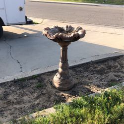 Bird Bath 