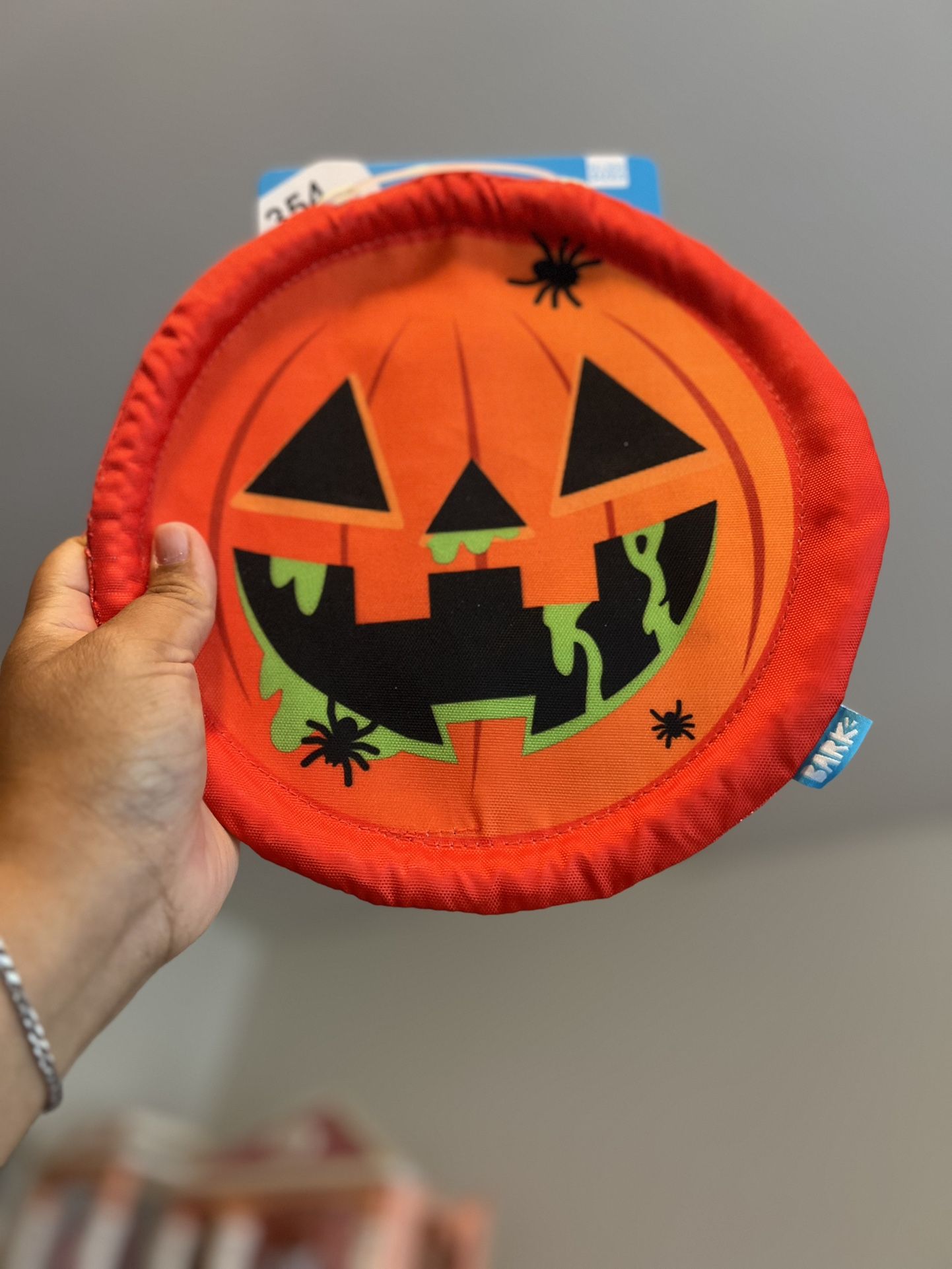 Halloween Dog Frisbee