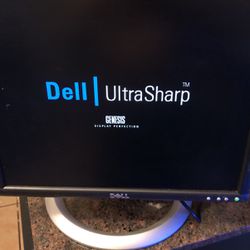 Dell Duel Monitors 