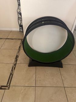 Cat roll around