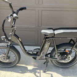 Electric Bike RadRunner 2