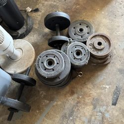 weights 