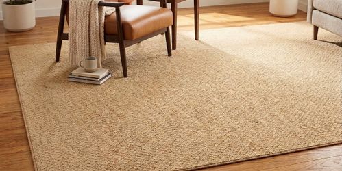 9x12 tan/beige rug