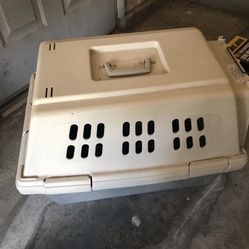 Dog Kennel 