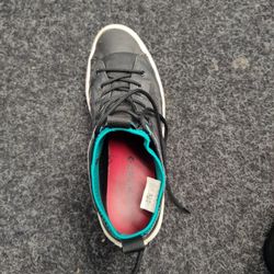 Converse Size 10