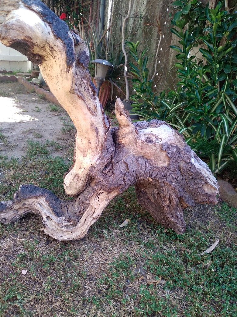 Genuine Driftwood 