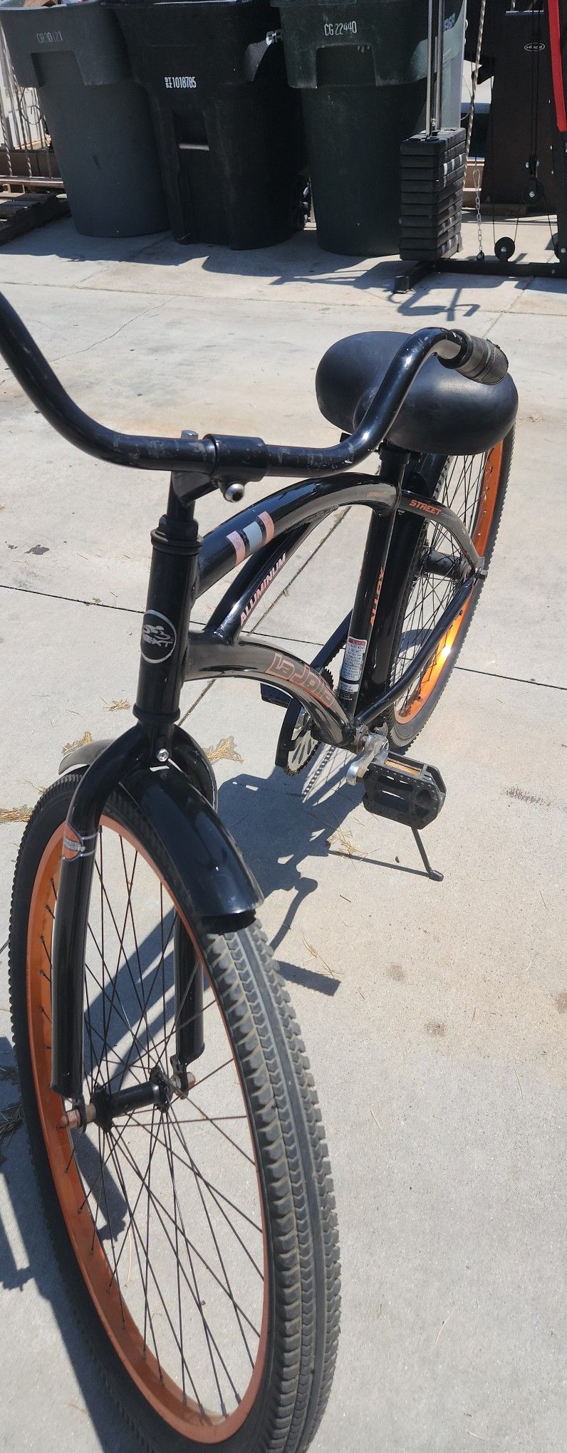 Bicicleta 