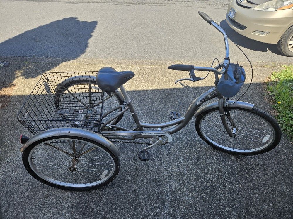 Schwinn Trike