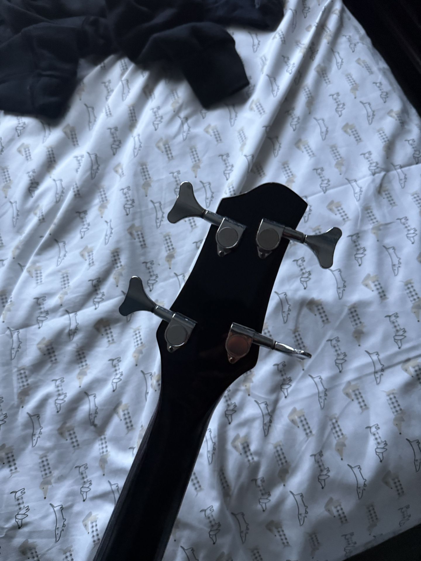 Bass Barely Used Just Been Stored For A While