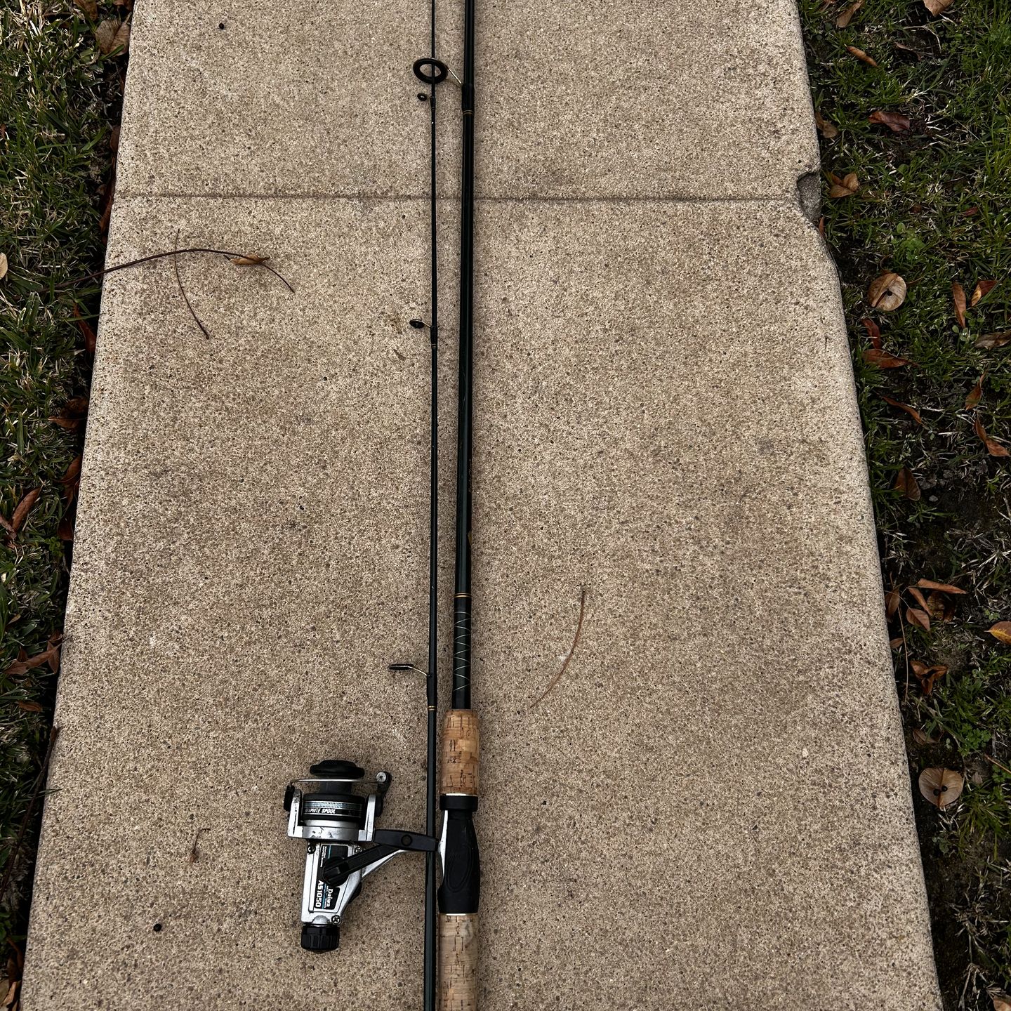 Classic fishing pole and reel